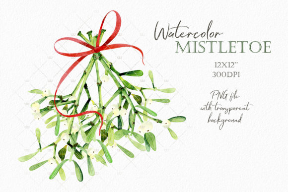 Christmas Mistletoe Watercolor Clipart for Illustrations
