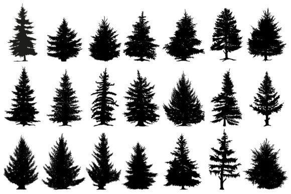 Christmas Pine Trees Silhouettes Illustrations