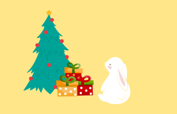 Rabbit Christmas Decoration Illustration Review
